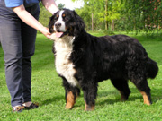 Roanne  2 ans
